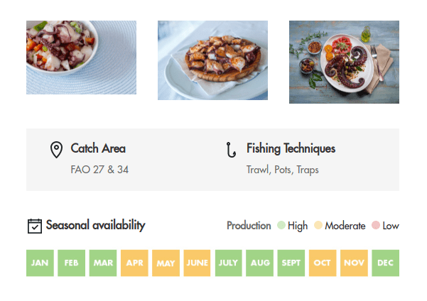 Seafood Spanish Octopus